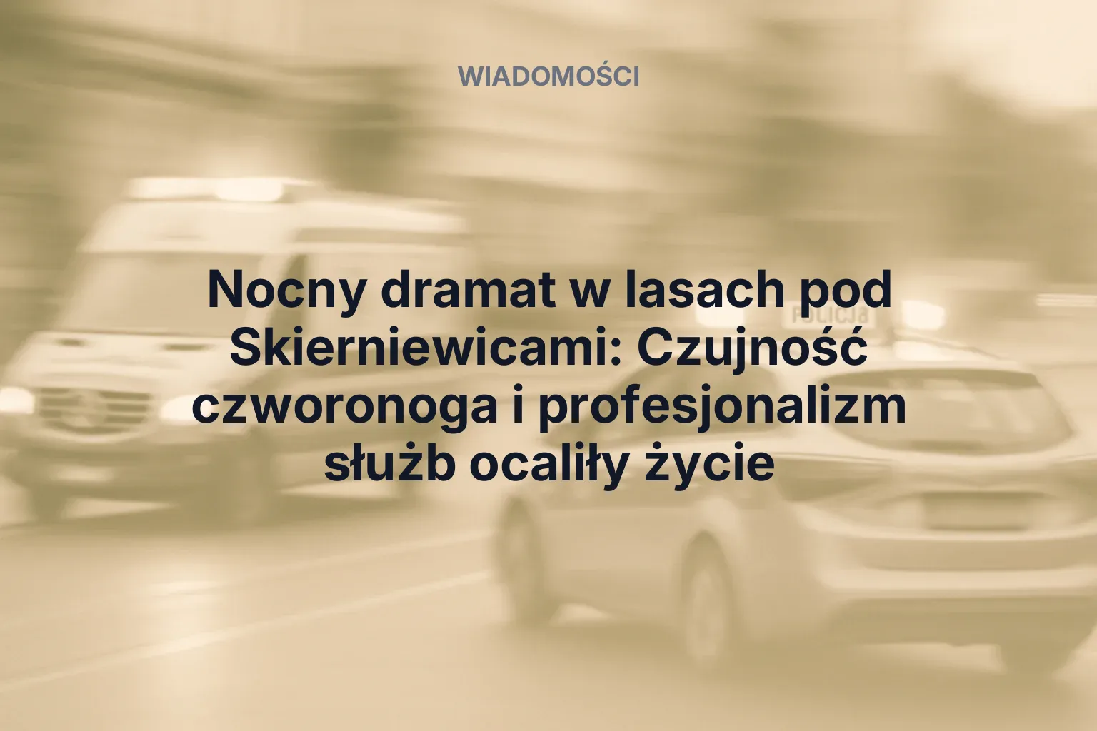 Artykuł: Nocny dramat w lasach pod Skierniewicami: Czujność czworonoga i profesjonalizm służb ocaliły życie